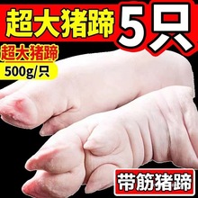 �����i�㎧���i�����i�_�i���iצ�����i���i����ֻ���r�i�Ű��b