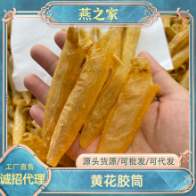 燕之家 深海黄花胶100头鱼肚干货滋补品花胶筒滋补品产地现货供应