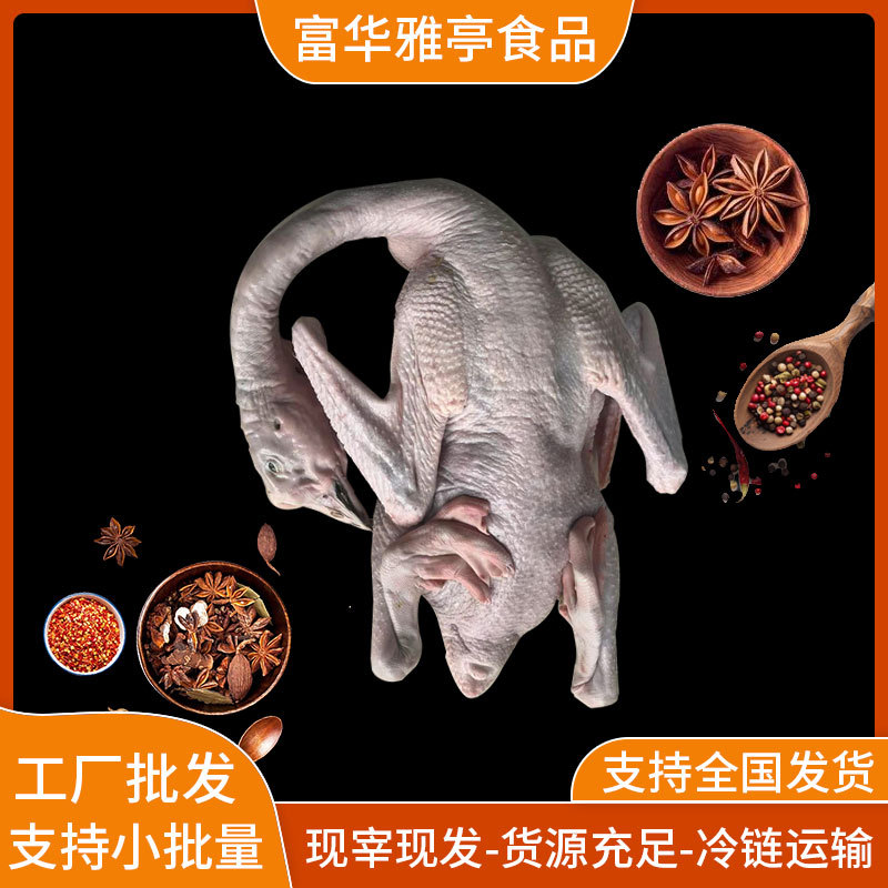 Authentic fresh lion head goose food Foshan factory wholesale fresh cut frozen big goose head fresh goose braised flavor
