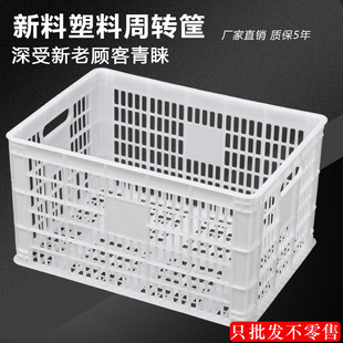 Rectangular Plastic Vegetable Basket Lobster Turnover Basket Fruit Hollow Warehouse Storage Box Commercial Storage