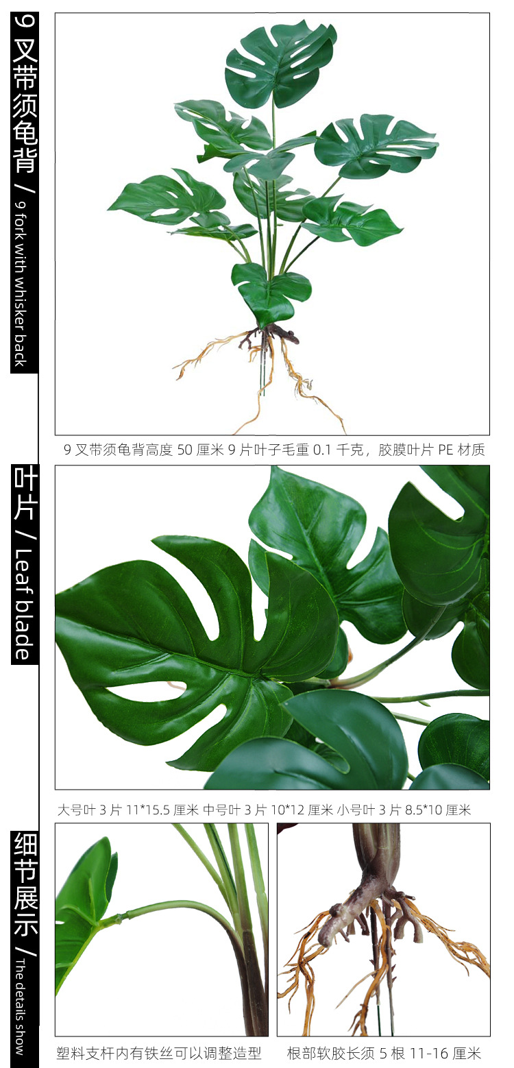 9叉带须龟背 副本 拷贝