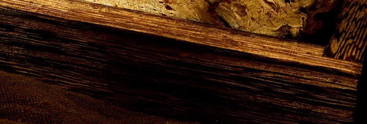Dried White Atractylodes Slices Bai Zhu 500g Raw Herb for Cooking and Decoction key features