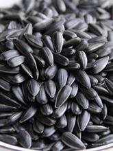 Ϳ5؛СͿ2ﳴ؛ͱ}ԭζʳ