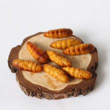 ���r�QӼ�ӽ�z�r�ك����w�QӼ���ɽ�|�خa�sӼɽ�|�خa���]��؛