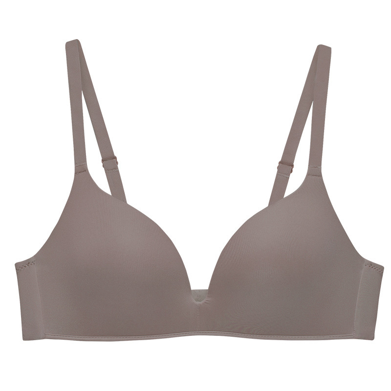 회나무 (A/B 통과 컵)