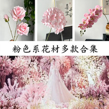 ��c��ɫϵ���滨��õ�彑��廨��·�������b�c���滨��ɫ