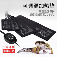 ��ƤReptizoo����ɵ��¼��ȵ����׺��µ�����ع��ڹ���ױ��µ�