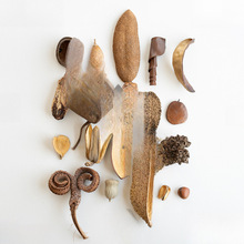 ֲ���ȫ�ɹ� �˱����diy�b� ������ղ��OӋ���ĵ���