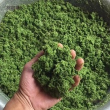 ݝ{C๦ܸɝ÷CϼӹO̫