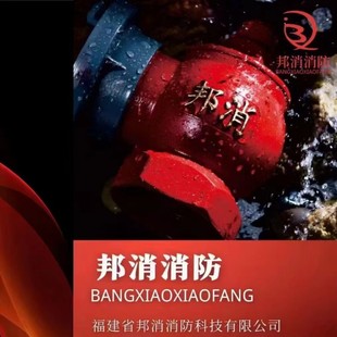 Fire indoor fire hydrant SNZ65, SNW65-III decompression and voltage stabilization type 3 fire hydrant factory outlet