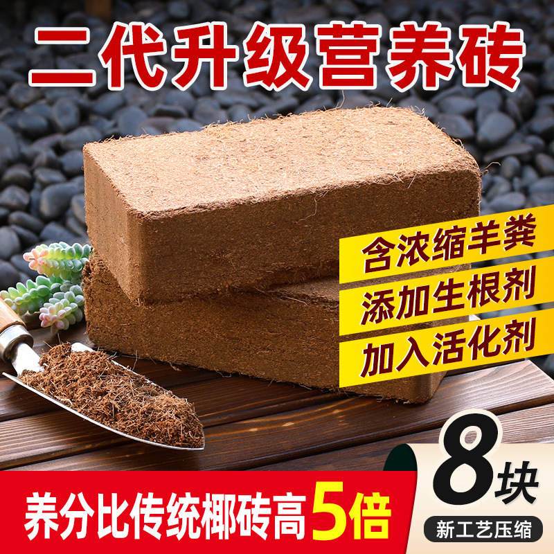 [신규 압축공정] 고영양 영양벽돌 8개 (멋진 신제품)