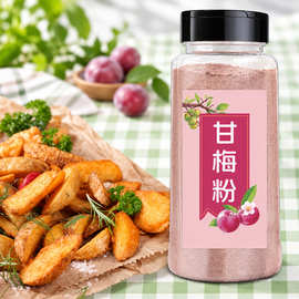 甘梅粉家用炸鸡排油炸小吃撒料潮汕酸梅汤话梅粉配料