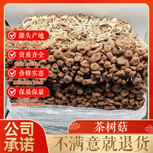 ����5̖��乽��؛ʳ�þ���ɢ�bԭ�a��ֱ�����l 500g