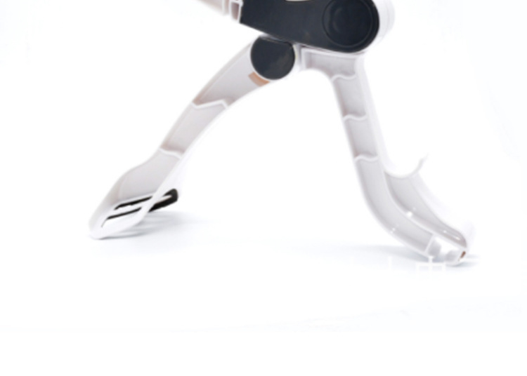 阿里详情页模板空白兔子_08