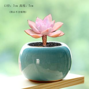 ⻨迨ͨͺsմɱСɐۼb⻨