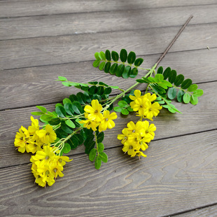 ���滨��仨�ٻ����ϻ��Sɫ�b�ˇ��픻��廨����bٻ�֦