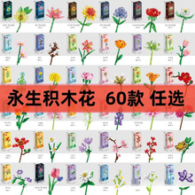 ƴbeľտõ˹ͯɻˮһ