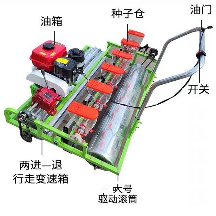 汽油双排12行白菜菠菜精播机手推电动大棚蔬菜种植机免间苗种菜