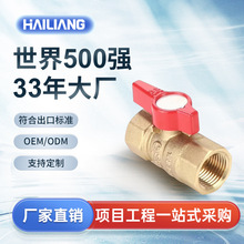 �����S�~ȼ����ݼy���y��ƬʽDN10DN20�Ӻ�����y�T�~�_�P�p�Ƚz