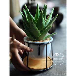 �J�C�k����С�����҃Ⱥ��B����ȩ����ֲ����������辰��ݗ��Gֲ