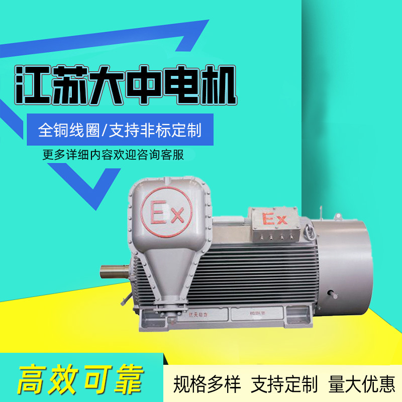 Jiangsu Dazhong Motor Yb2 Series High-Voltage Explosion-Proof Three-Phase Asynchronous Motor 75Kw90Kw Direct Supply from the Manufacturer