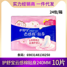 ���N���l�挚�l����노����w���N������240mm10Ƭ�̋��� 8250