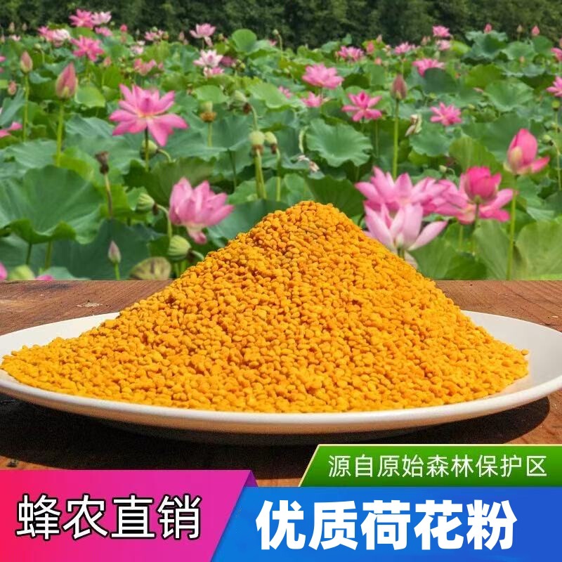 Authentic Natural Lotus Powder Edible High-Quality Fresh Bee Pollen Unbroken Camellia Pollen Farm-Produced 500g Authentic Natural Lotus Powder Edible High-Quality Fresh Bee Pollen Unbroken Camellia Pollen Farm-Produced 500g