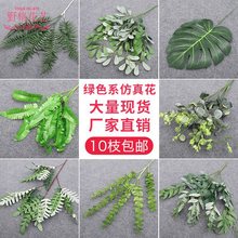 ��c�Gɫ���������Ļ�ˇ��Y�F�������b��廨�~��·����