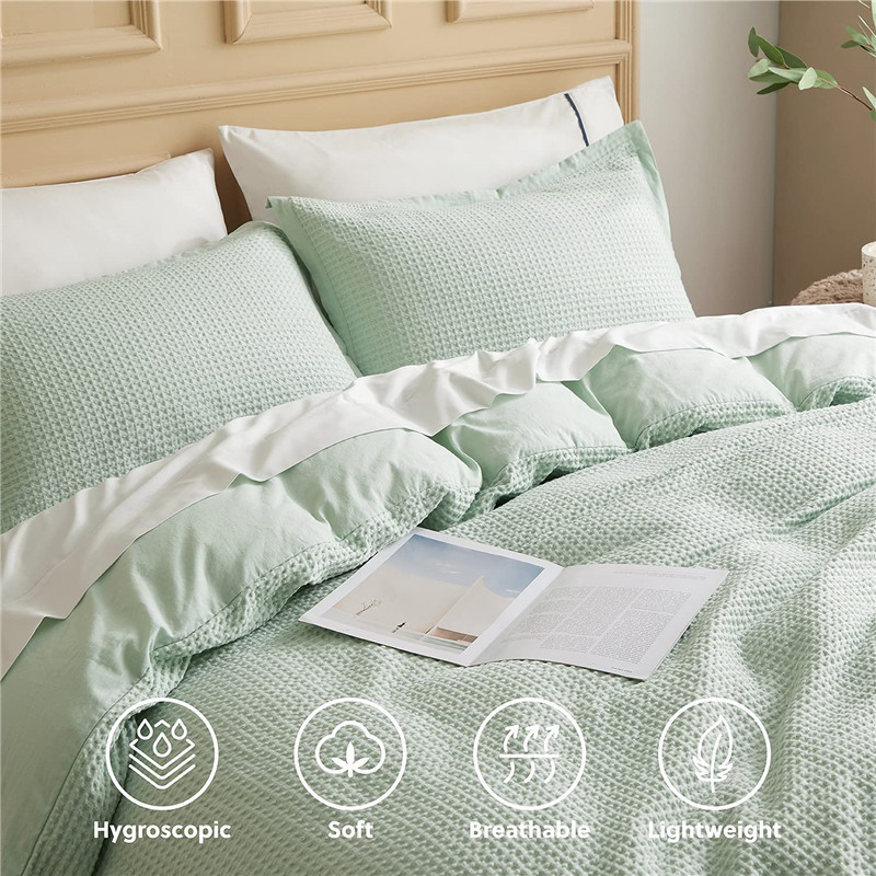 两个 绿色-03.jpg