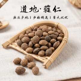 中药材批发药用野生蕤仁芮仁芮仁肉蕤仁肉蕤核甘肃原产地直销