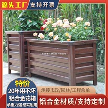 �X�Ͻ������M�Ϸ�ľ���۵�·�������^����ͥԺ�̨�Nֲ�仨��