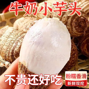 ���r�����^ �����r���߲� �a��ֱ�l ��Ŵ�ڸ� ֧��һ�����l