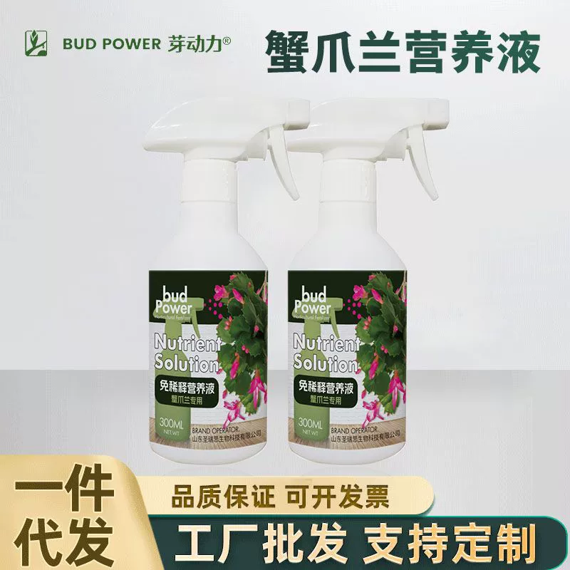 Питательный раствор для паучьей лилии (орхидеи "Крабий коготь") для домашнего садоводства, подходит как для посадки в горшках, так и для посадки в грунте, способствует цветению и росту, не требует разбавления.