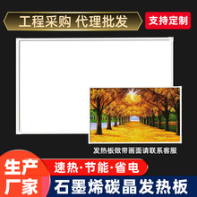 石墨烯壁挂式壁画取暖器碳晶墙暖家用电热板挂墙电暖气片发热板