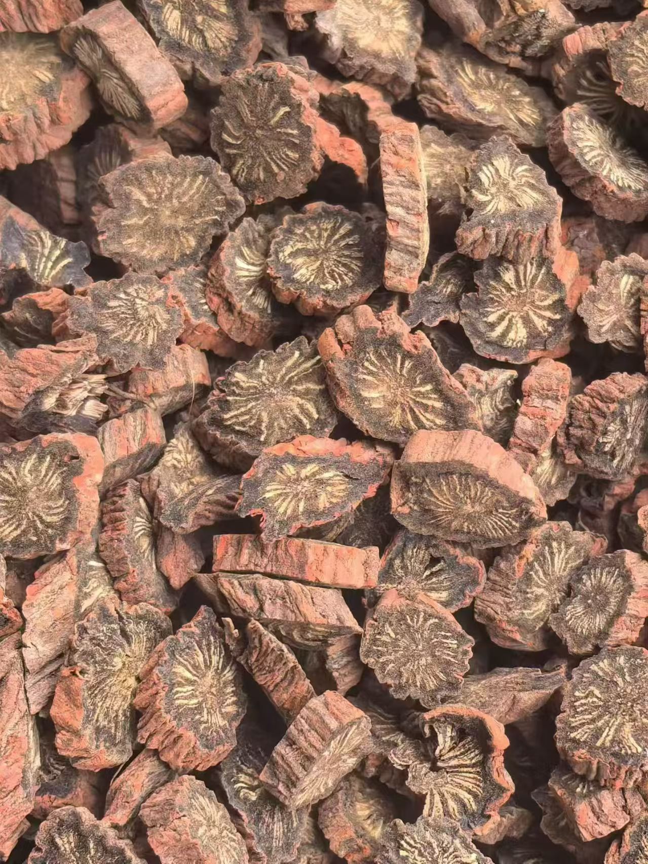 Purple Dan Shen Root Powder Zi Dan Shen Salvia miltiorrhiza Sichuan Source Dried Herb for Decoction and Culinary Use 500g quality and texture