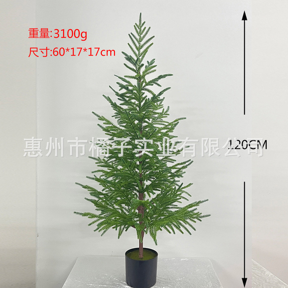 120cm 뉴 노퍽 화분 [재고 있음, 대신 배송 가능]