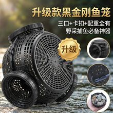 �¿���������ڲ��~�~�\�S�X�~�W���r�r�\�W�\�������q�Ӵ��