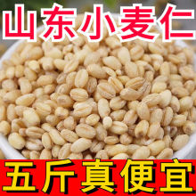农家去皮小麦仁麦仁米 脱皮小麦粒 大麦仁杂粮农家包邮食用煮粥