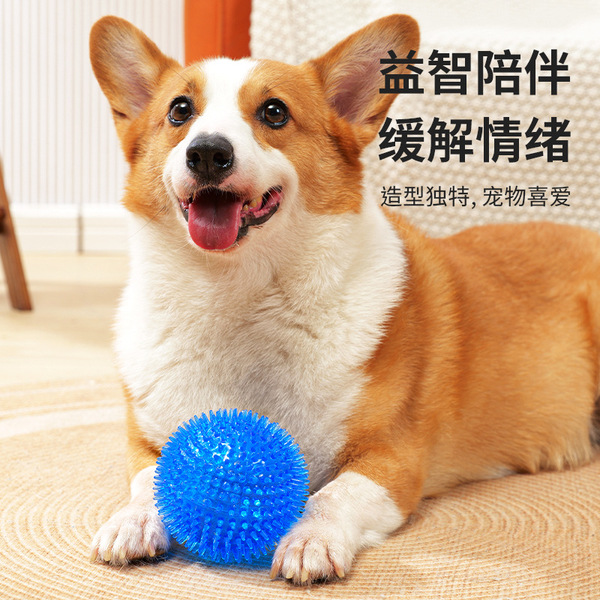 Toy