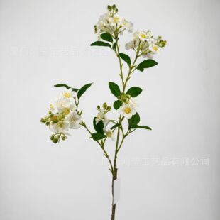 �߷����ɫӭ���� �Ҿ�ܛ�b��ƿ�廨 ��c��ˇ���߷��滨