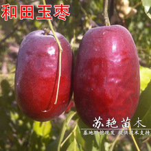 �½��󗗘����������޽��������u�������ϱ����N����Y��