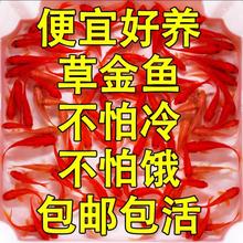 �ݽ��~���~�\���~���^�p�~��ˮ�~��ˮ�~С���ͻ���wС���~�t�ݽ�