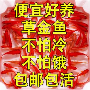 �ݽ��~���~�\���~���^�p�~��ˮ�~��ˮ�~С���ͻ���wС���~�t�ݽ�