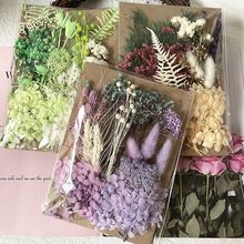 永生花diyA款干花材料相框团扇浮游瓶花材幼儿园武汉真花装饰品