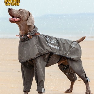 �������·��wʽ�������_��ˮ�·�����Ȯ����Ȯ���������