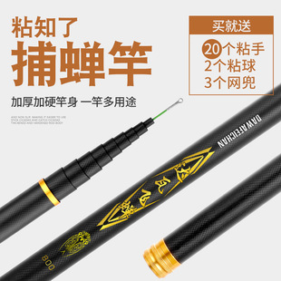 ̼��֪�˗Uճ֪�˗U���s�Ͳ��s�������p������Ӳ��s���s��