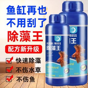 ���儩���������~�׳����ˮ���G��z��Gˮ����̦������Һ�w