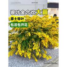 �y�~��Ϛg��������Ԅe��ͥԺ�Tǰ�L�����G����ľ�ͺ�����ֲ��