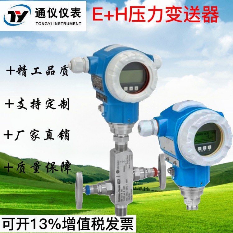 E+H压力变送器PMP51-AA21JA1HGJGRJA1+AB现货PMC51 PMP51B PMC51B