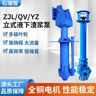 ZJL/QV/YZ��ʽҺ�����{����ʽ���{������������ɳ��ɳ�õV�ø߽j